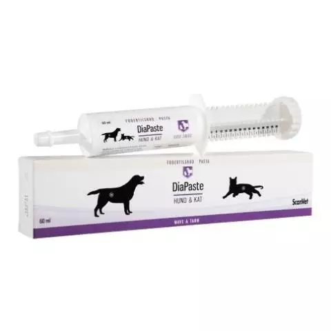 Diapaste Hund og Kat 60 ml | mod ustabil fordøjelse - MyVetShop
