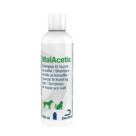 Malacetic shampoo clearance for dogs