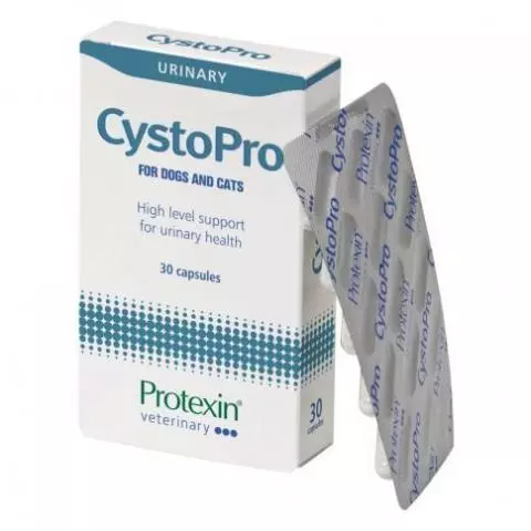 Picket Knop koste CystoPro 30 kapsler | Støtter urinvej & blære hos hund og kat - MyVetShop