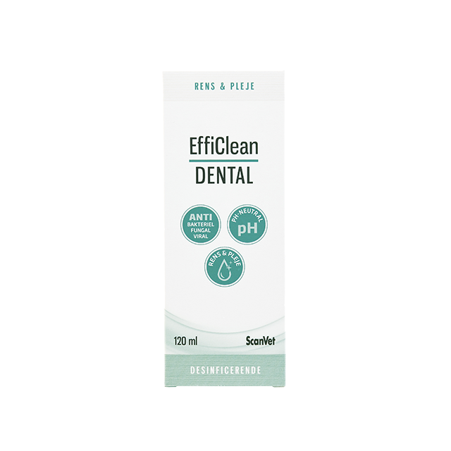 EffiClean Dental 120ml