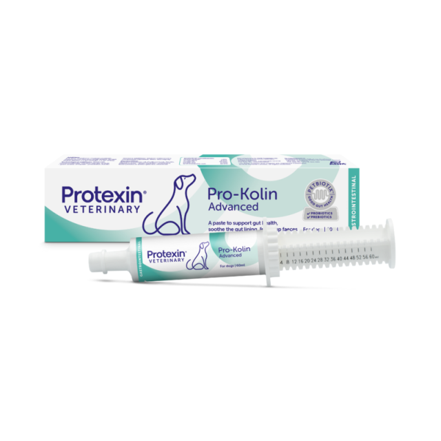 Pro-Kolin Advanced hund 60ml