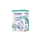 Cobalaplex B12 60 stk