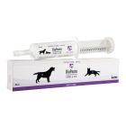 Diapaste Hund & Kat 30 ml