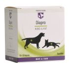Diapro Hund & Kat 10x10 kapsler