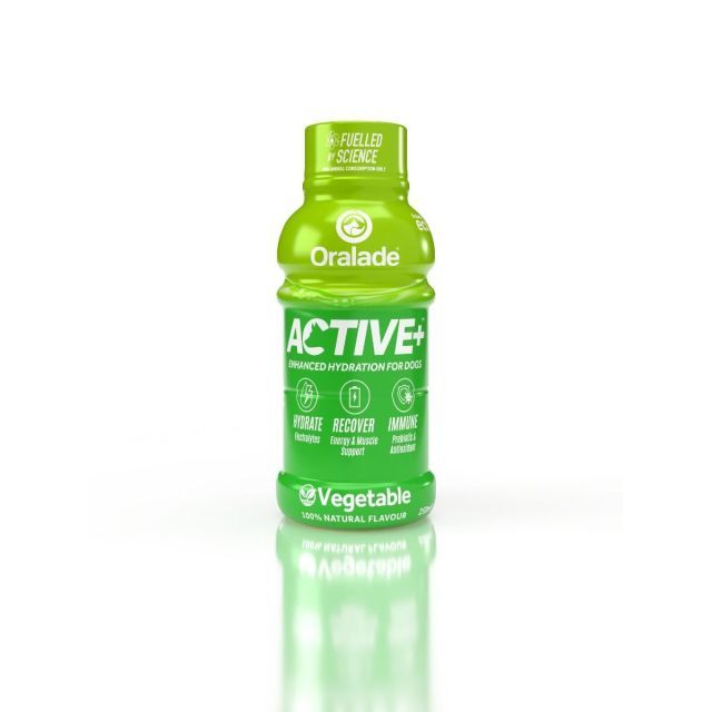 Oralade ACTIVE m Grøntsager (Veggie) 250ml