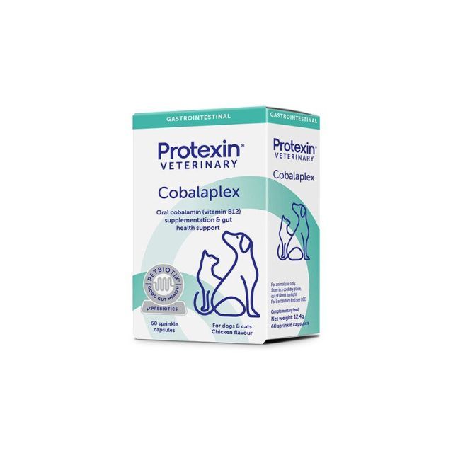 Cobalaplex B12 60 stk