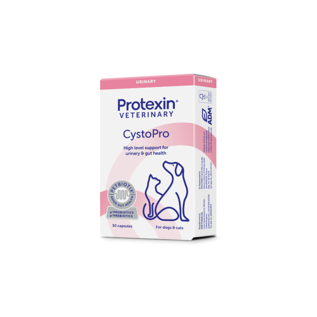 CystoPro 30 stk
