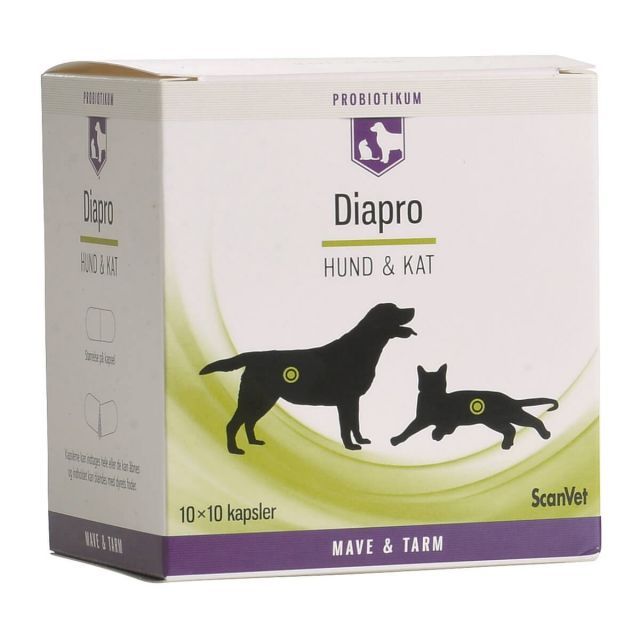 Diapro Hund & Kat 10x10 kapsler