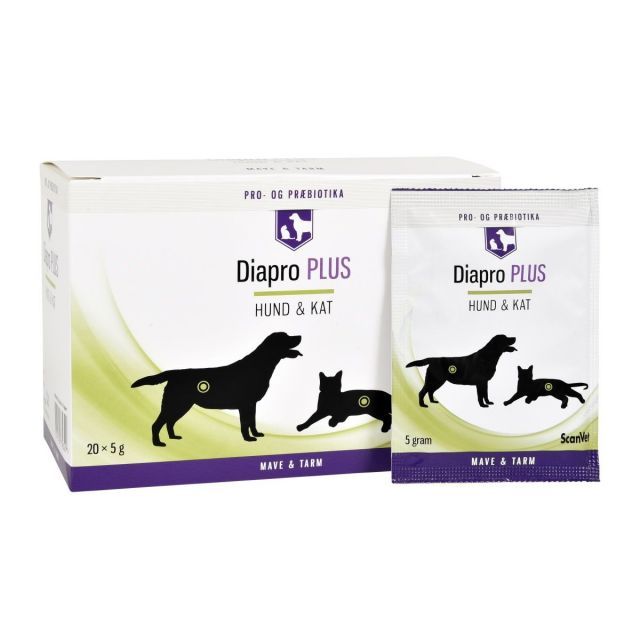 Diapro PLUS Hund & Kat 20x5g breve