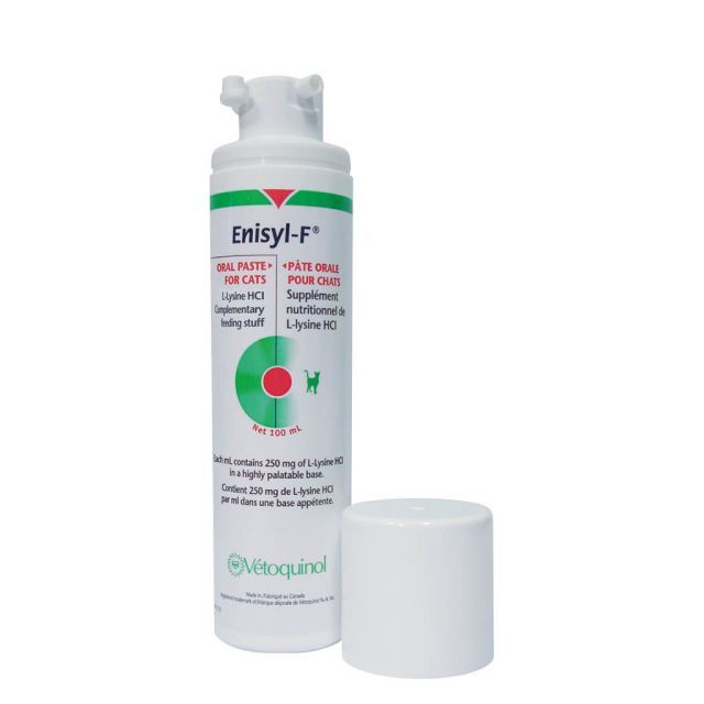 Enisyl-F 100 ml