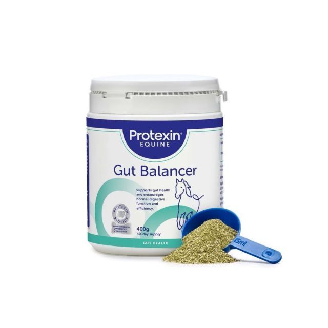 Protexin Gut Balancer 400g