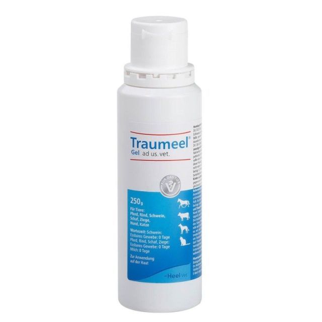 Traumeel Gel 250g