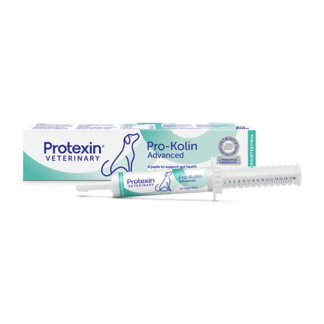 Pro-Kolin Advanced hund 30ml