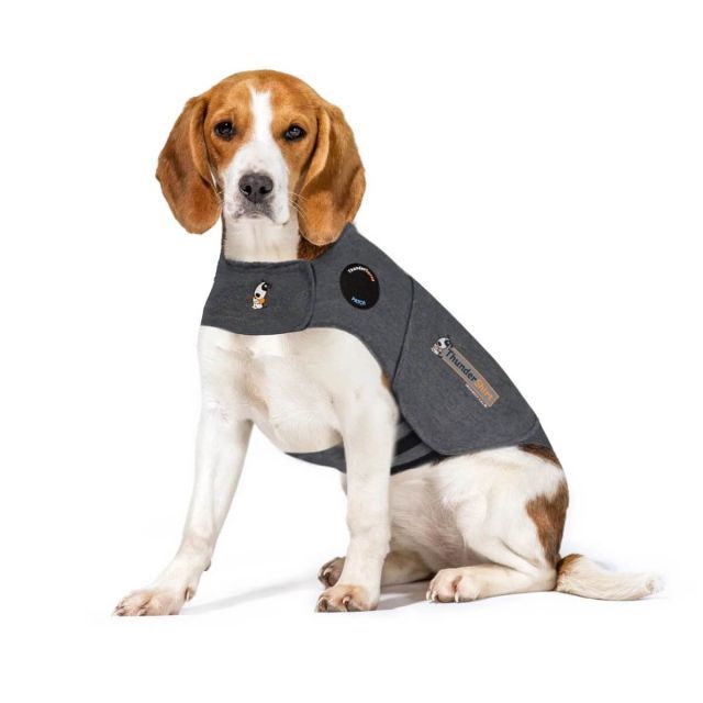 Thundershirt M