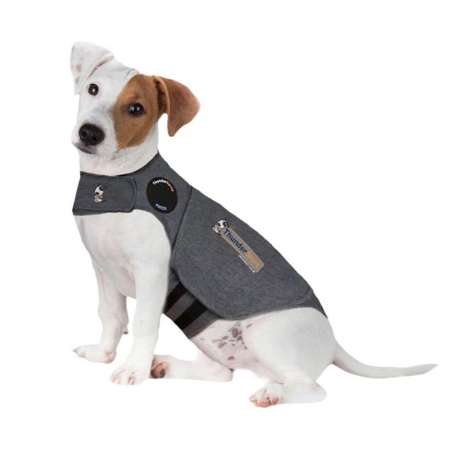 Thundershirt S