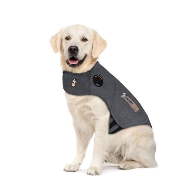 Thundershirt XL