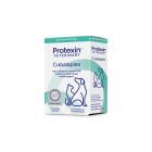 Cobalaplex B12 60 stk