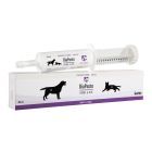 Diapaste Hund & Kat 60 ml