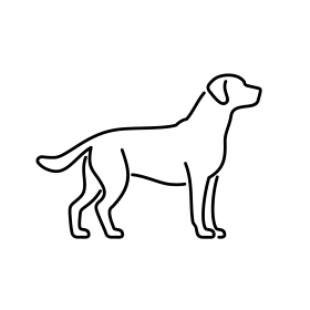 Produkter til hund Produkter til hund